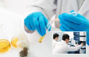 Pesticide Screening and Testing Methodologies