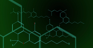 Chudakov / adobestock.com