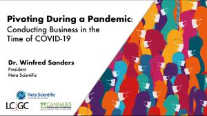 Pivoting During a Pandemic 