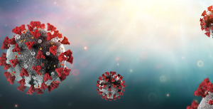 ROMOLO TAVANI / ADOBESTOCK.COM