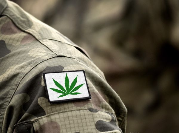 Hemp Legislation Prompts Letter to Congressional Leaders from Veteran Organization