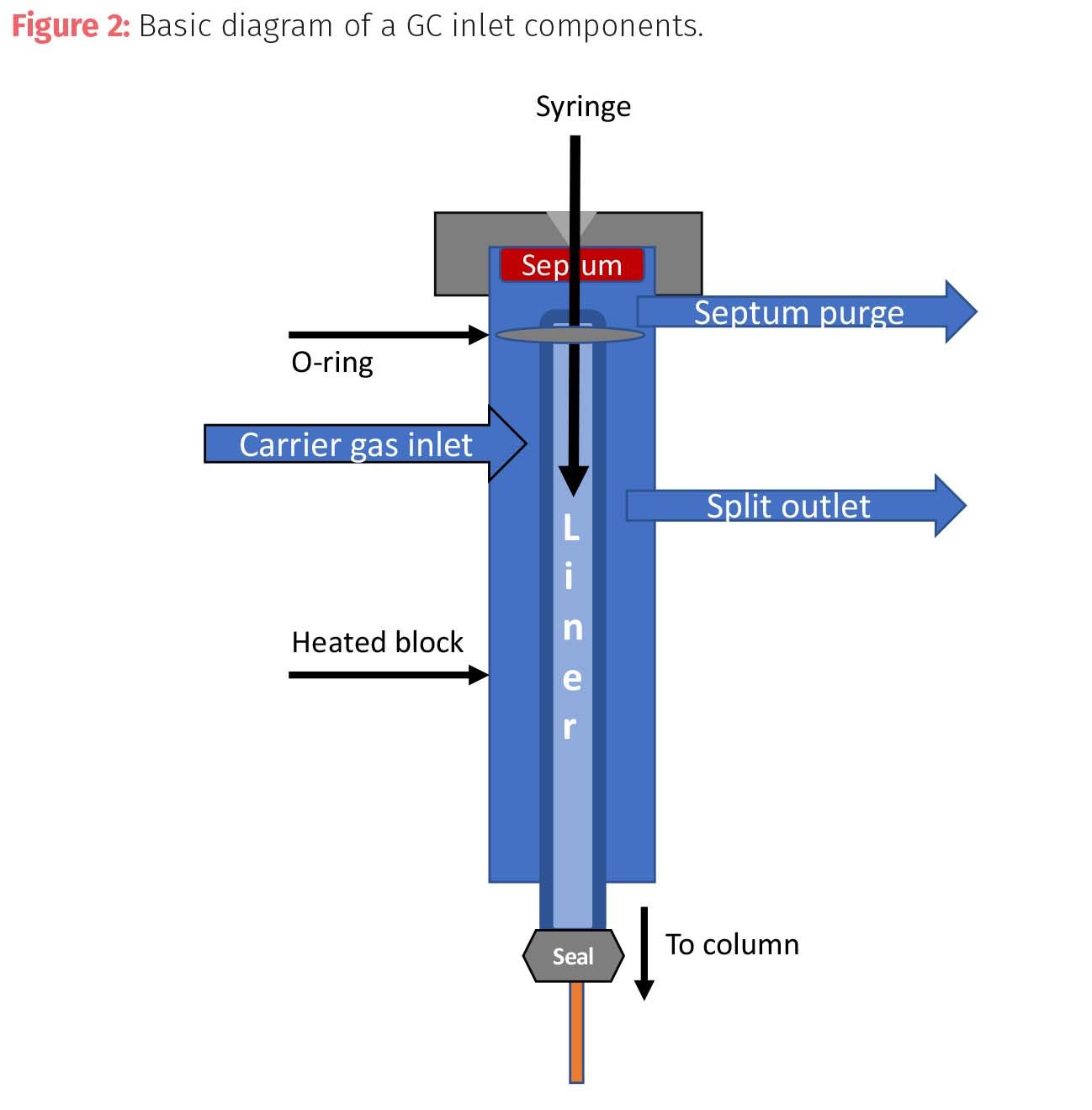 Looking with Light: Understanding Gas Chromatography, Part II: Sample ...
