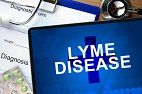 Long-Term Antibiotics No Benefit for Chronic Lyme Disease Symptoms