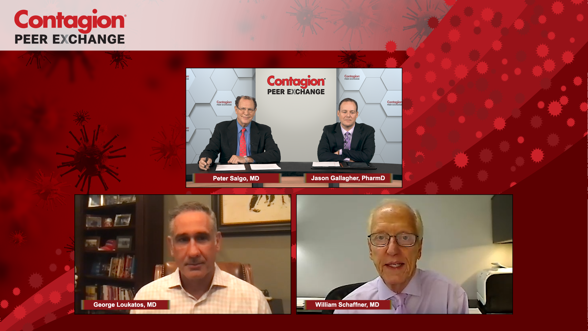 Panel of influenza experts