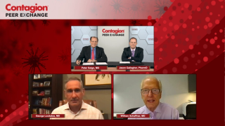 Panel of influenza experts