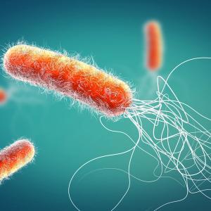 What’s New in 2020 From the CLSI Subcommittee on Antimicrobial Susceptibility Testing