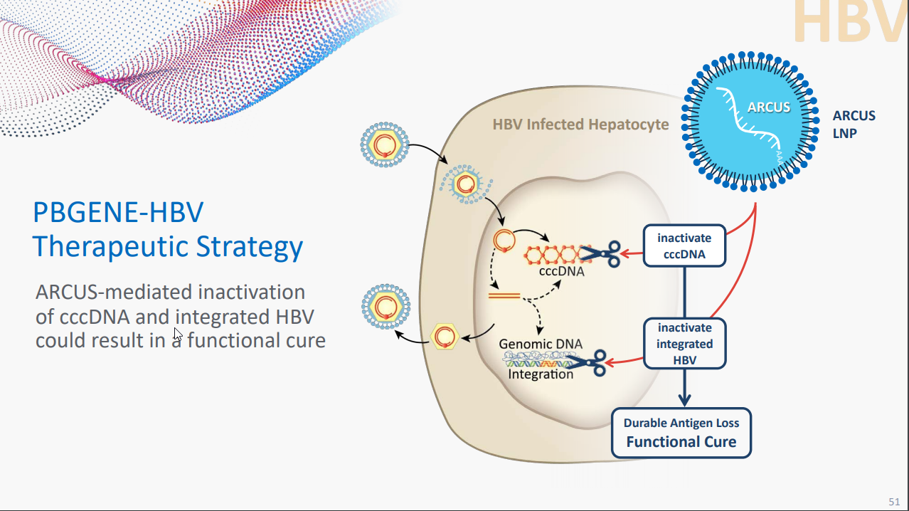 Applying A Novel Gene Editing Therapy For Chronic Hepatitis B Treatment