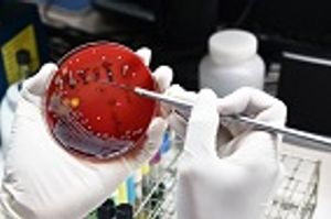 Pharmaceutical Companies and Antimicrobial Stewardship: Save Us a Seat