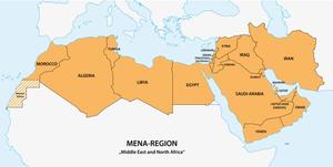Middle East, North Africa Face Emerging HIV Epidemics With Lagging Response