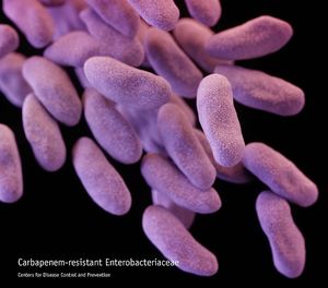 Continuing the Fight Against Gram-Negative Infections: What's in the Pipeline—Part 3