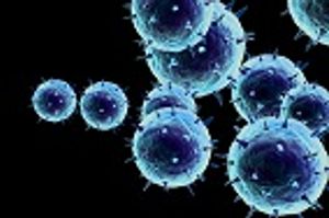 Exploring the Role of Endogenous Retroviruses