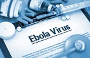 A "Bottom Up" Treatment for Ebola That Could Have Been Used in West Africa