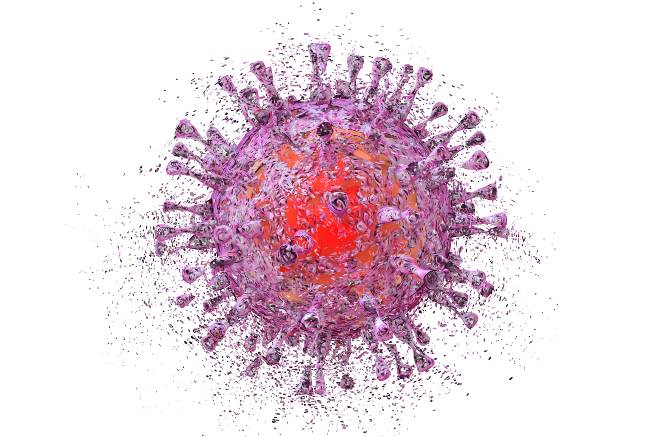 microscopic image of cytomegalovirus pathogen
