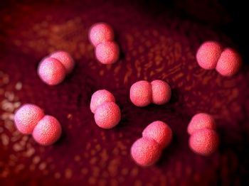 meningitis