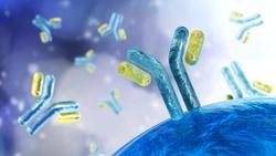 New Monoclonal Antibody May Neutralize Future COVID-19 Variants