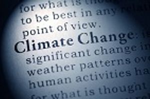 What Role Does Climate Change Have on Vector-Borne Diseases?