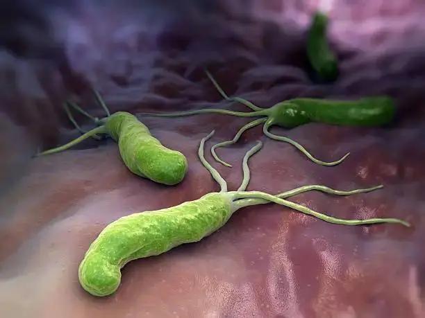 Rising Antibiotic Resistance in Helicobacter Pylori Infections Among Children