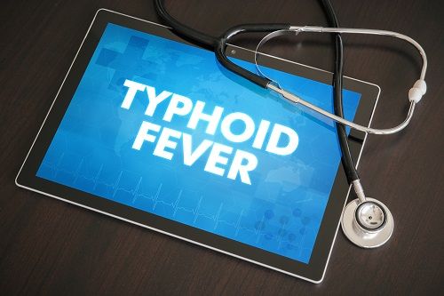 typhoid fever antibiotics