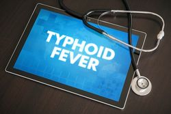 Antibiotic Resistance of Typhoid-Causing Bacteria Spreads Globally