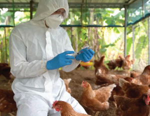 H5N1: Have We Forgotten About Avian Influenza?