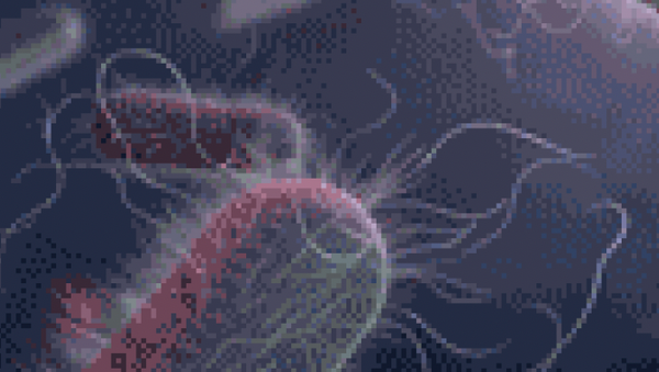 A No-Carb Diet: An Overview of Non–Carbapenemase-Producing Carbapenem-Resistant Enterobacterales