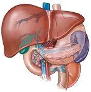 Working Toward Eliminating Hepatitis 