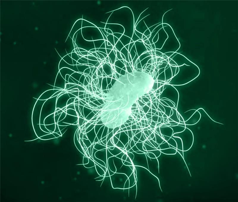 Elevated Risk of Healthcare-Associated Infection with Antibiotics and Proton Pump Inhibitors Elevated Risk of Healthcare-Associated Infection with Antibiotics and Proton Pump Inhibitors