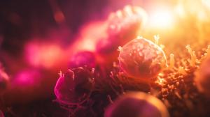 A Candid Look Into Uncomplicated Candida Bloodstream Infection Treatment Durations