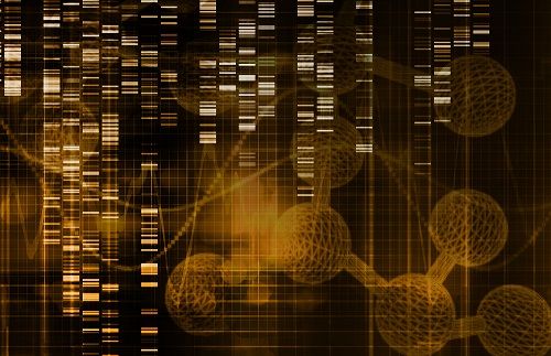 Genetic Factors That Naturally Protect Against Severe COVID-19 Genetic Factors That Naturally Protect Against Severe COVID-19