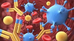 Monoclonal Antibody ADG20 Neutralizes COVID-19 Variants
