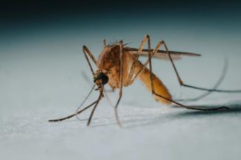 FAQ: West Nile Virus
