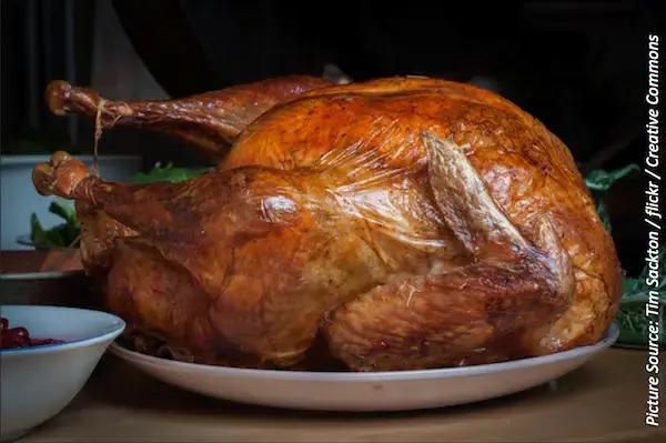 Ahead Of Thanksgiving, Here Are Turkey Preparation Safety Tips, And ...