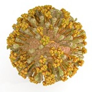 Are Chikungunya and Other Zoonotic Diseases Unbeatable?