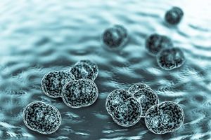 Post-Eculizumab Meningococcal Disease in A Vaccinated Patient