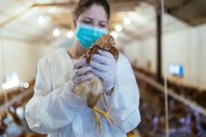 Patient With Novel Strain of Avian Influenza Dies