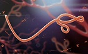Examining Human-to-Human Transmission of Contact-Transmitted Zoonotic Pathogens