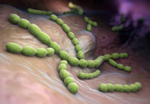 Review of the Risk Assessment and Treatment of Group A Streptococcal (GAS) Pharyngitis