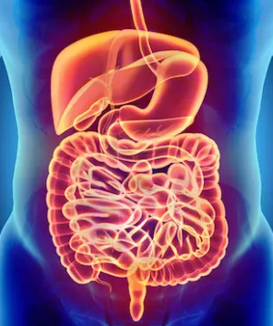 Key Differences Found in Microbiomes of Patients 