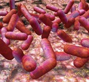 Therapeutic Challenge in Treating Enterohemorrhagic Escherichia coli (EHEC)