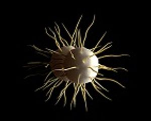 Is Carbon Monoxide the Key to Fighting Antibiotic-Resistant Gonorrhea?