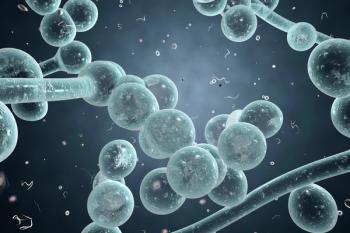 Digital illustration of fungi Candida albicans