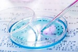 Examining the Business of Infectious Diseases in the Time of Zika Virus
