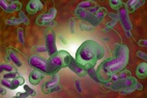 The United Nations Sets up Cholera Treatment Centers in South Sudan Amidst Increase of Cholera