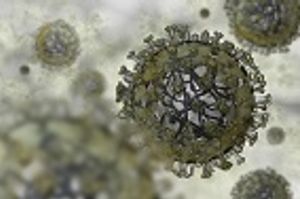 How Your Birth Year Could Affect Your Ability to Survive a Flu Epidemic