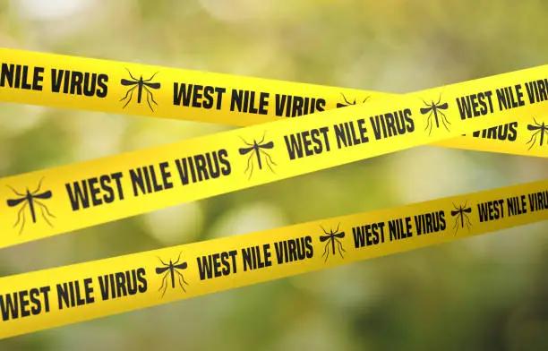 Italy Reports 2 Fatal West Nile Virus Cases Amid Rising European and US Threats
