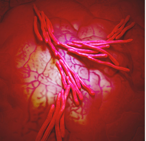 Rifapentine and Isoniazid for TB Prevention in Patients with HIV