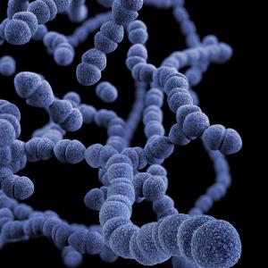 Is There a Better β-Lactam for Viridans Group Streptococci?