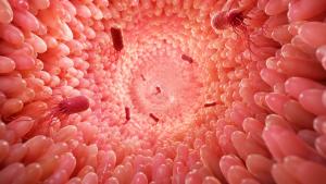 1 in 8 Cancer Cases Attributed to Infection