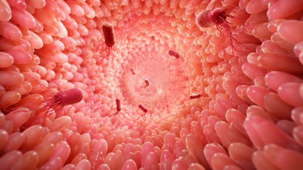 1 in 8 Cancer Cases Attributed to Infection