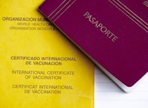 CDC Issues Level 2 Travel Alert for Brazil Due to Yellow Fever Outbreak